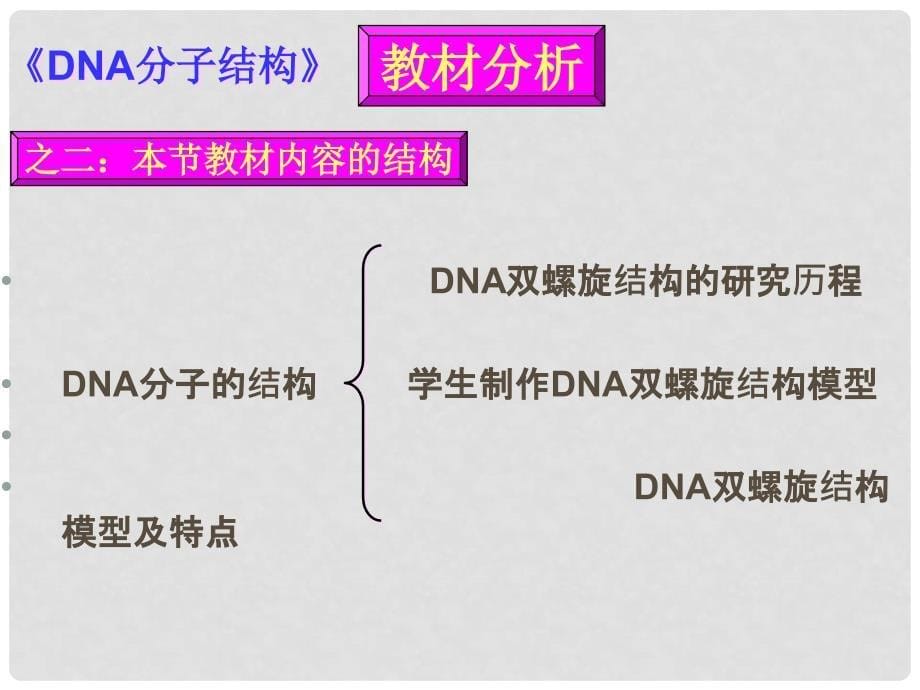 内蒙古乌审旗无定河镇河南学校高中生物 3.2 DNA分子的结构说课课件 新人教版必修2_第5页