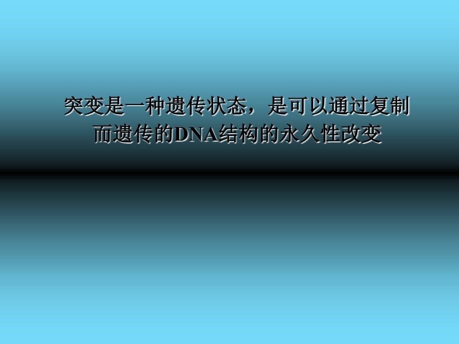 遗传毒性及其评价_第5页