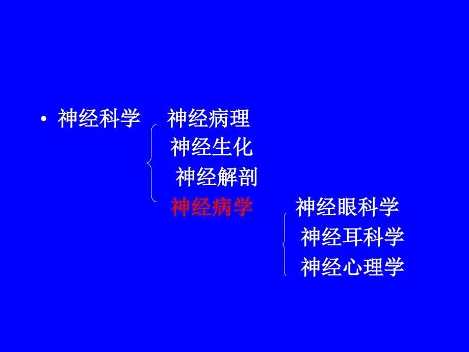 神经病学总论.ppt_第5页