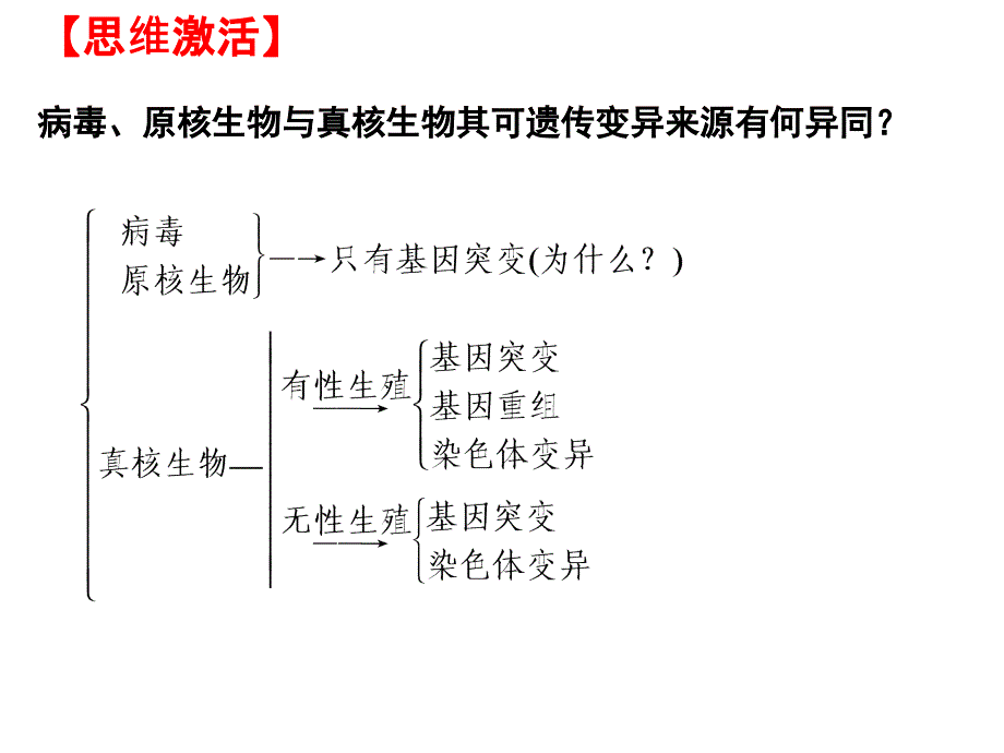 基因突变和基因重组_第4页