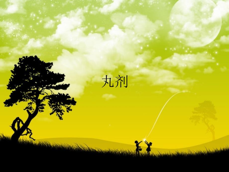 中药药剂学丸剂ppt课件_第1页