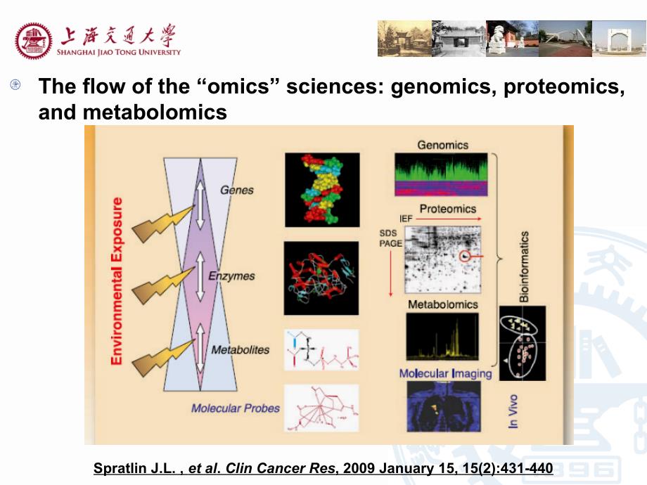 代谢组学介绍优选课资_第2页