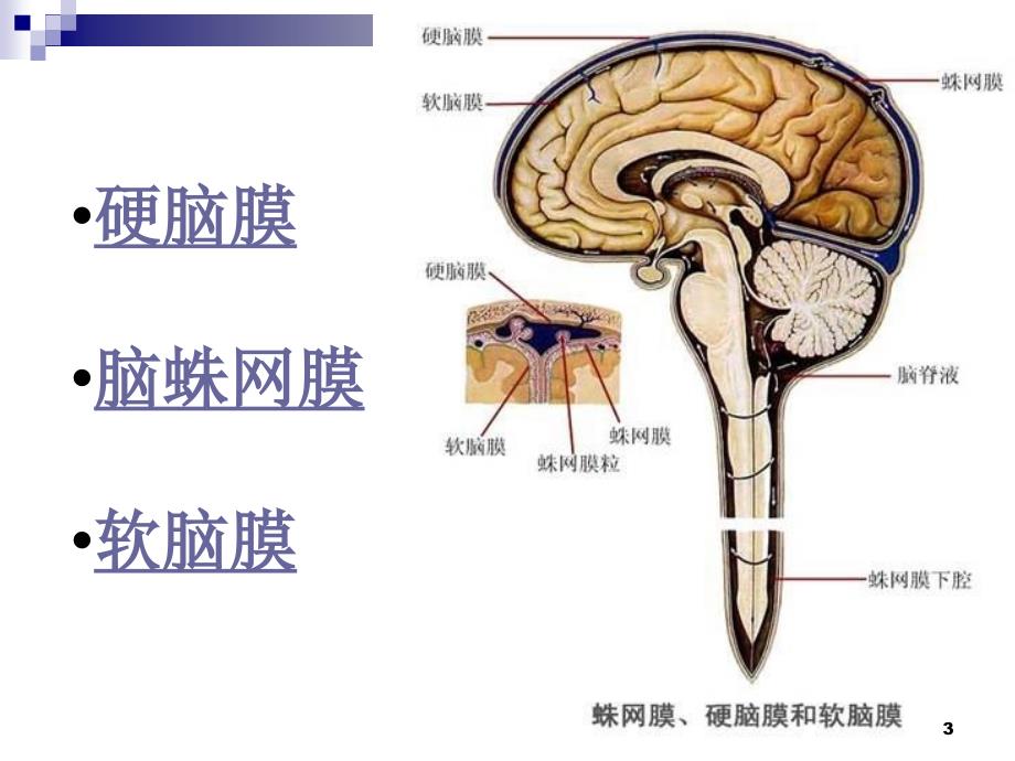 优质医学脑膜瘤的护理查房_第3页