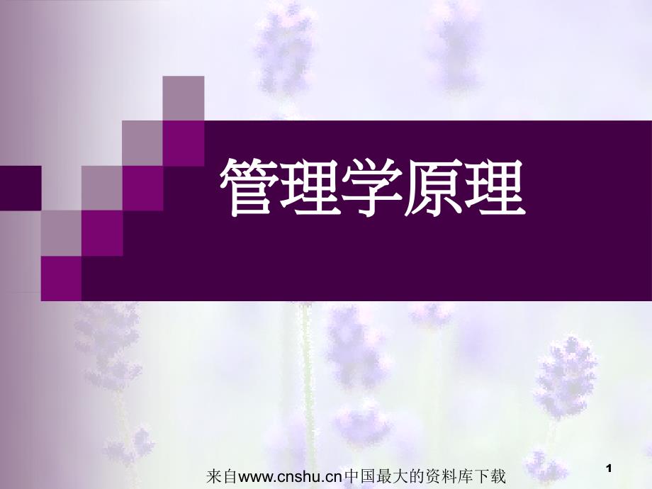 管理学原理领导职能ppt40页_第1页