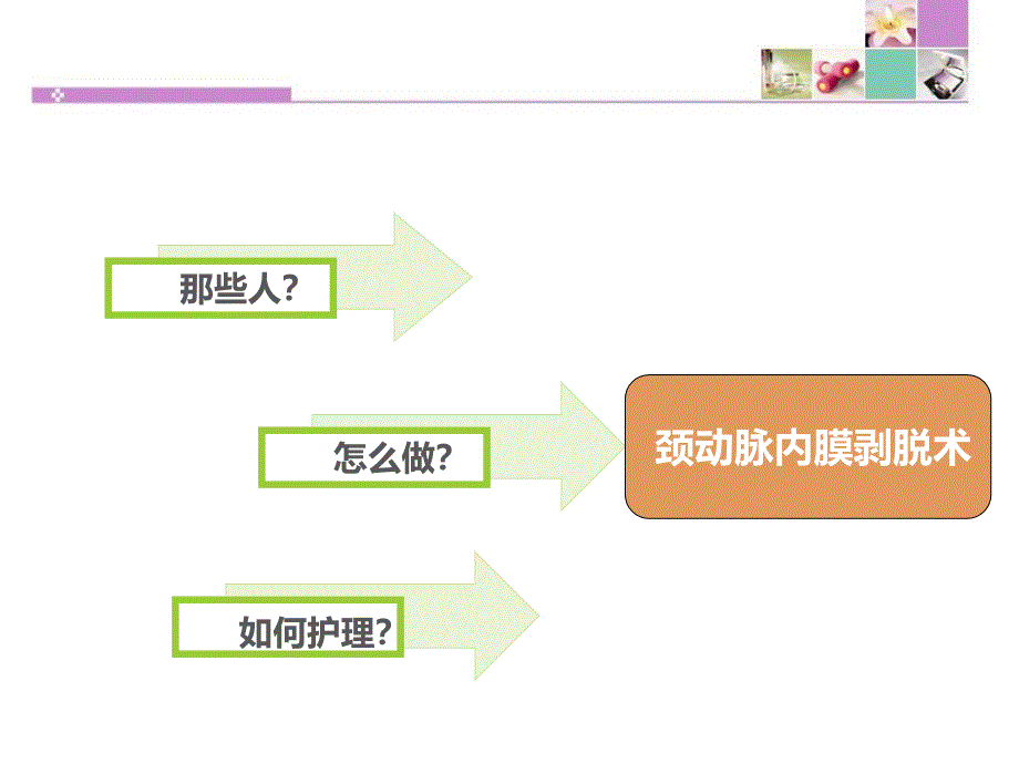 颈动脉内膜剥脱术护理_第2页