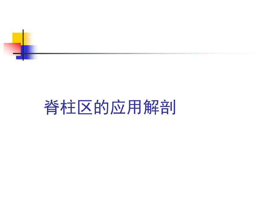 脊柱区的应用解剖.ppt_第1页