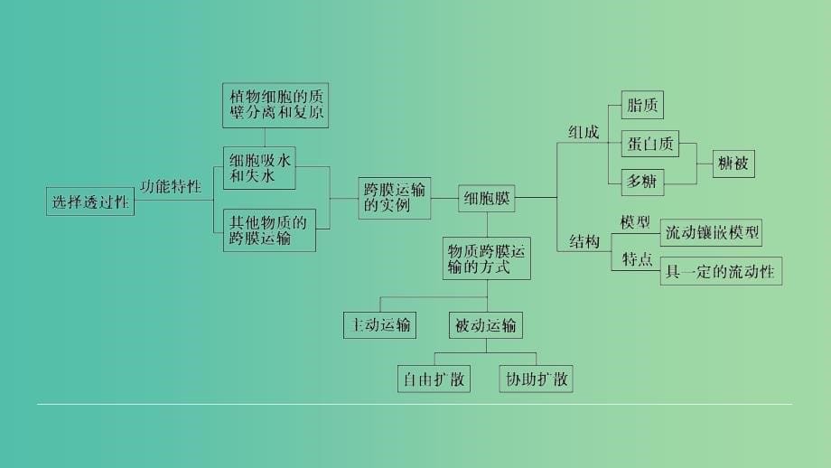 高中生物第四章细胞的物质输入和输出章末归纳整合课件新人教版.ppt_第5页