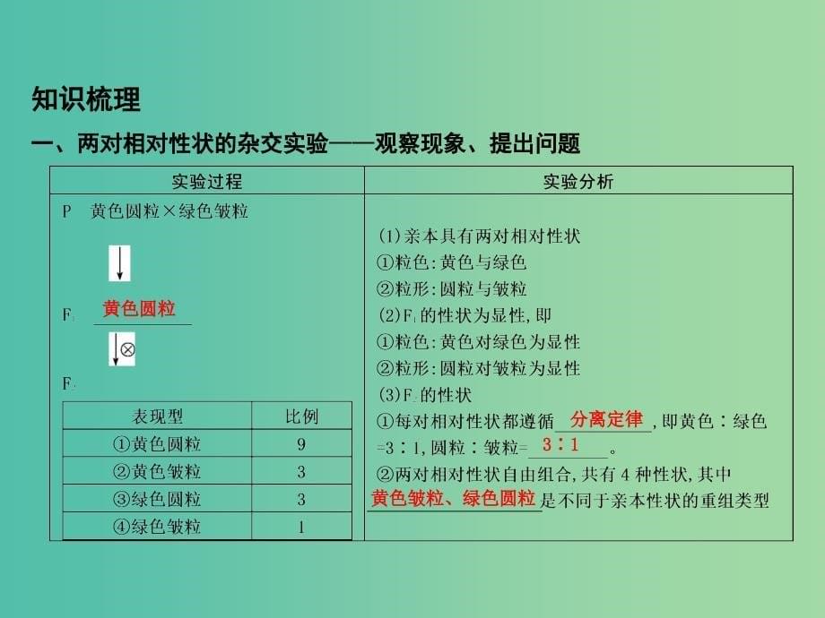 高中生物 第1章 第2节 遗传因子的发现 孟德尔的豌豆杂交实验二课件 新人教版必修2.ppt_第5页