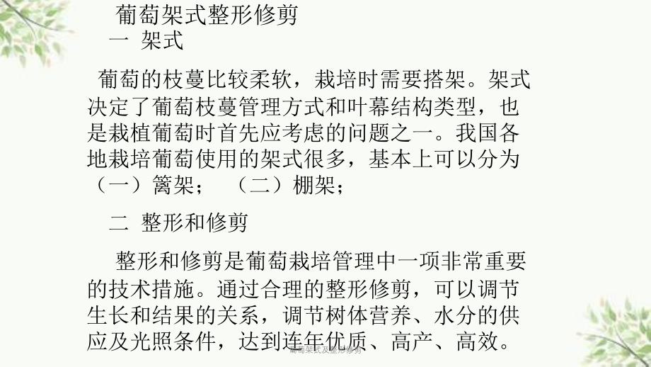 葡萄架式及整形修剪课件_第1页