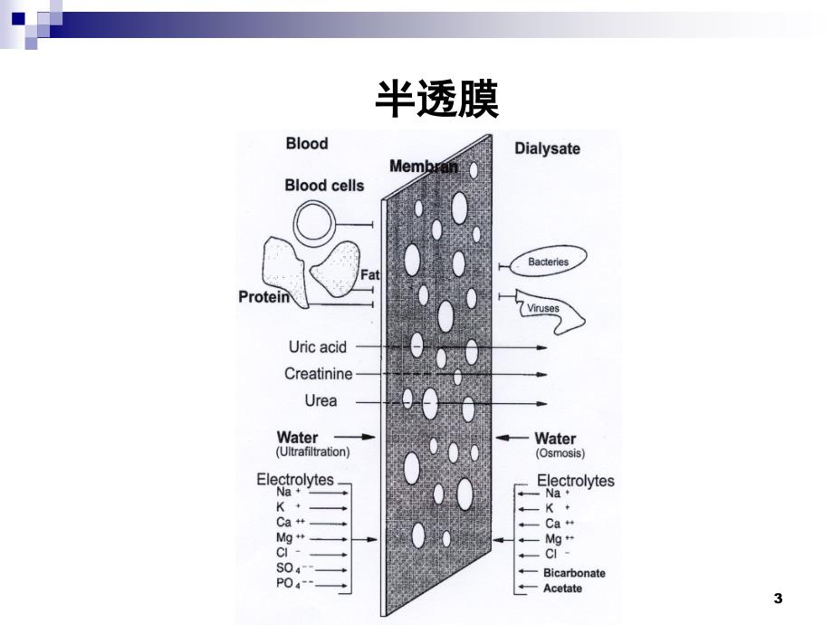 血液透析原理课堂PPT_第3页