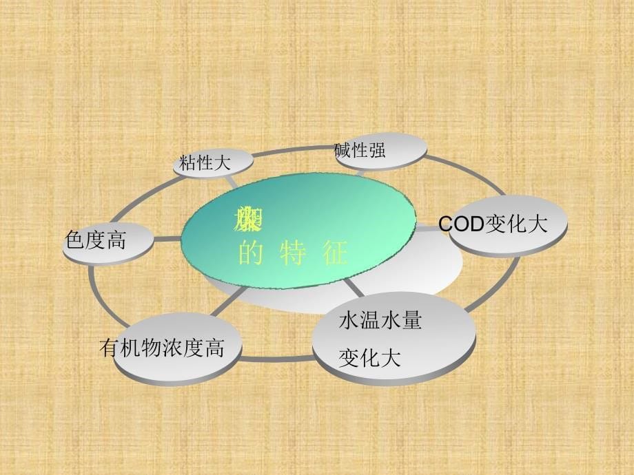 我的PPT-水解酸化-生物接触氧化工艺处理纺织印染废水_第5页