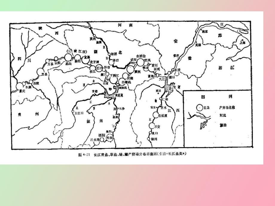 水产动物繁殖的基本知识_第3页