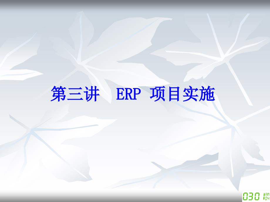 《ERP项目实施》PPT课件.ppt_第1页