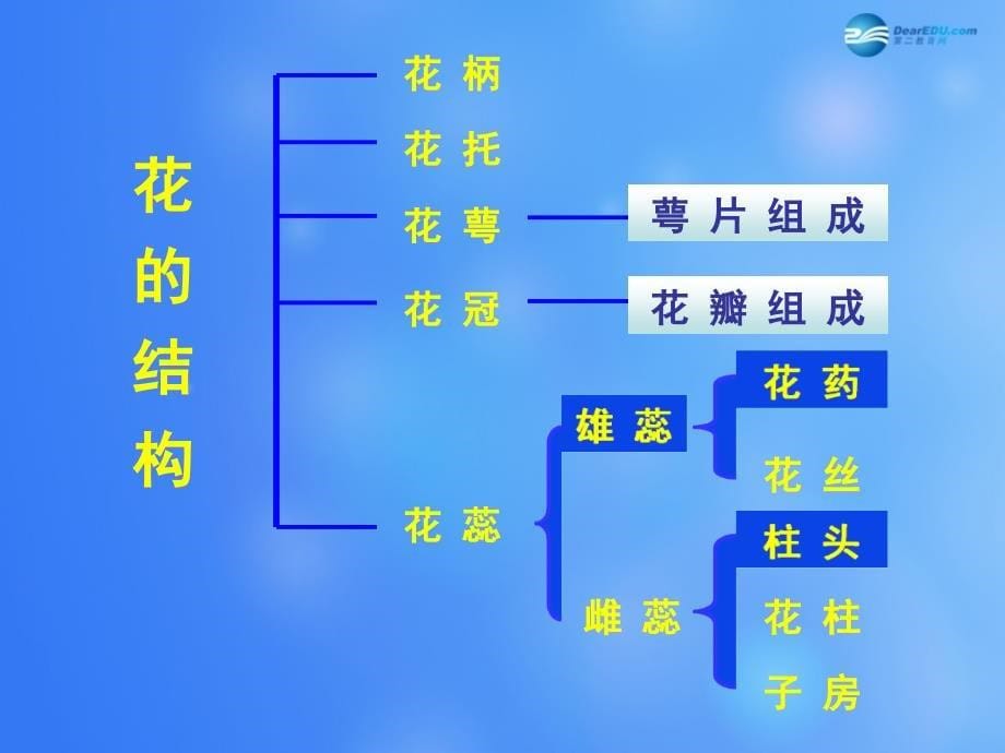 七年级生物上册 第6章 第3节 生殖器官的生长课件1 北师大版_第5页