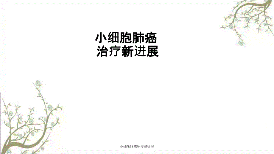 小细胞肺癌治疗新进展_第1页