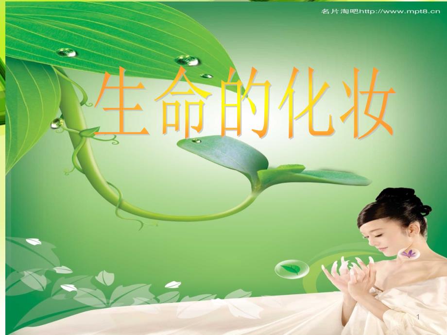 生命的化妆公开课课堂PPT_第1页