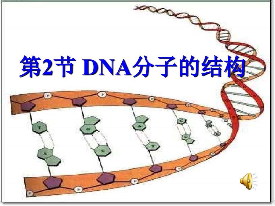 第2节DNA分子的结构PPT课件_第1页