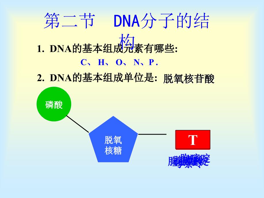 第2节DNA分子的结构PPT课件_第3页