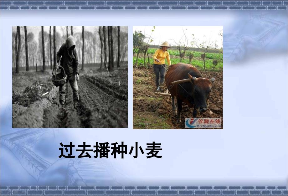 主题班会珍惜粮食主题班会PPT课件.ppt_第4页