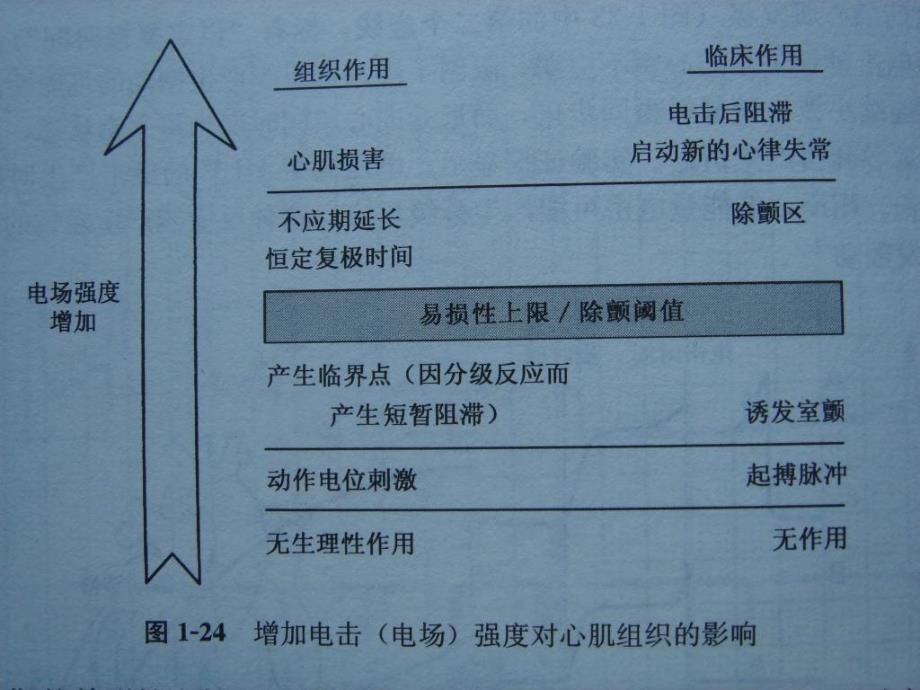 经胸体外电复律治疗_第3页