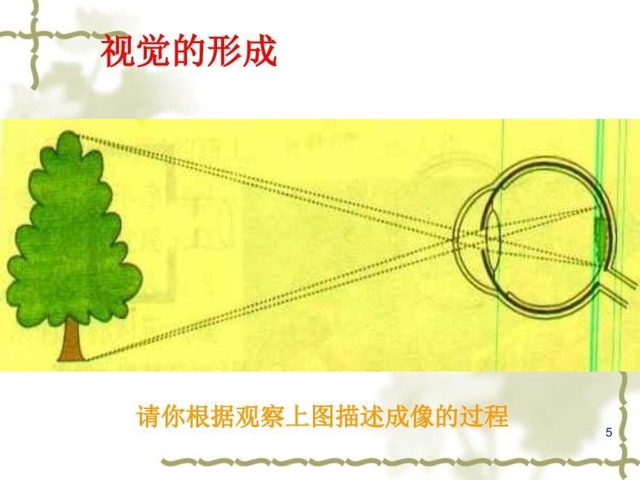 人体对外界环境的感知ppt课件_第5页