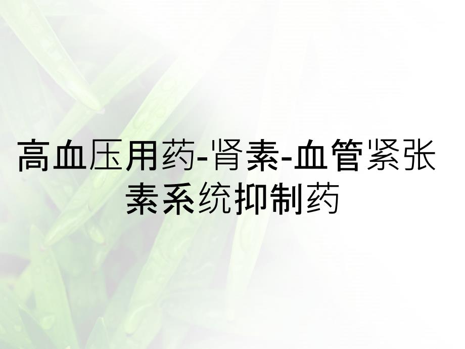 高血压用药肾素血管紧张素系统抑制药_第1页