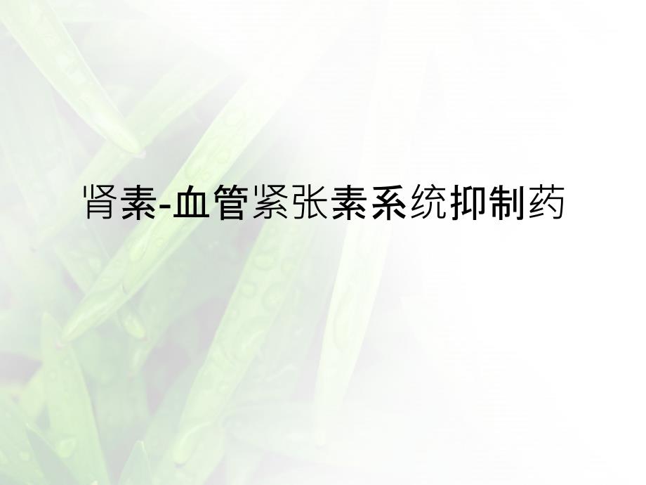 高血压用药肾素血管紧张素系统抑制药_第3页