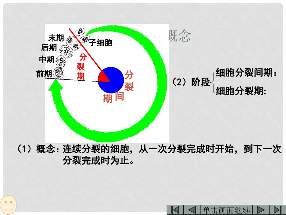 高考生物二轮复习 细胞的增殖课件_第3页