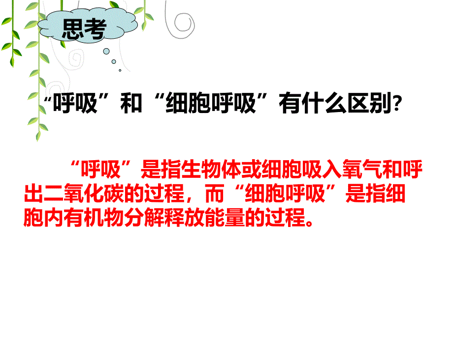 植物的呼吸作用2(有氧呼吸和无氧呼吸)分析课件_第4页