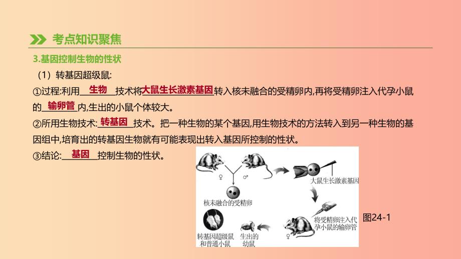 2019年中考生物 专题复习六 生命的延续 发展和健康地生活 第24课时 生物的遗传和变异课件 新人教版.ppt_第4页