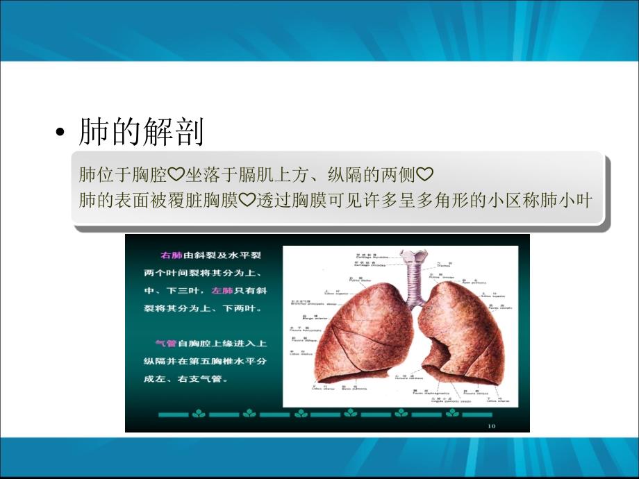 胸腔镜下肺叶切除手术配合_第4页