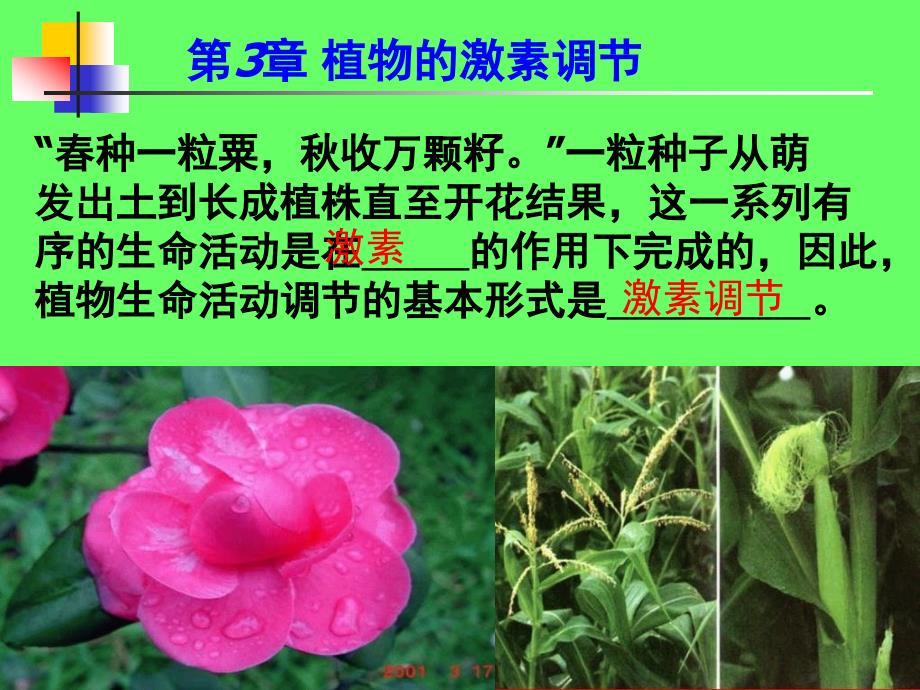 人教版教学课件必修三稳态与环境第3章植物的激素调节课件_第2页