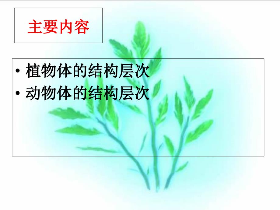 多细胞生物体的结构层次_第4页