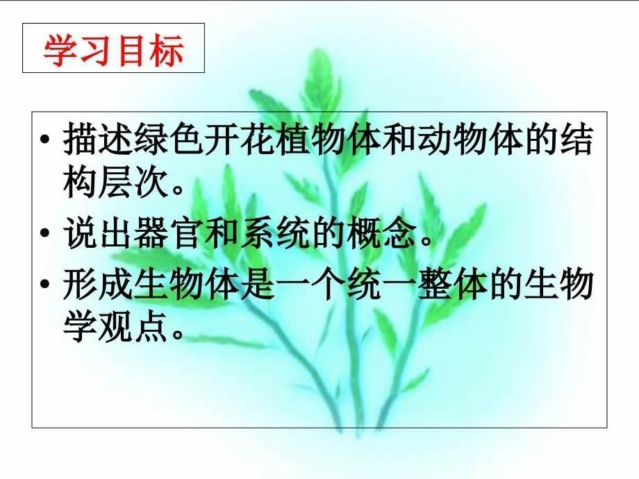 多细胞生物体的结构层次_第5页