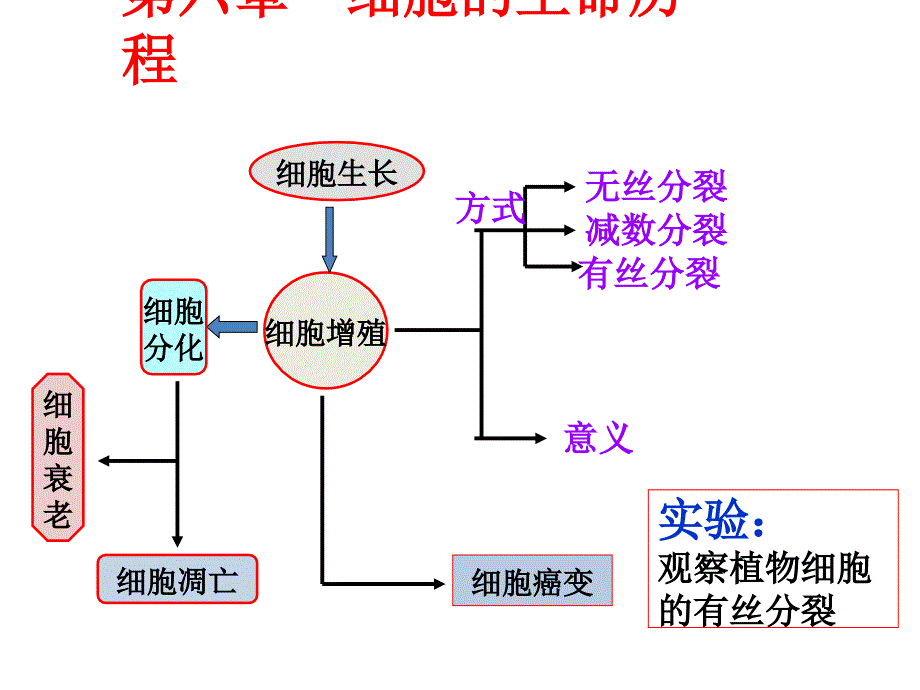 细胞的生命历程_第1页