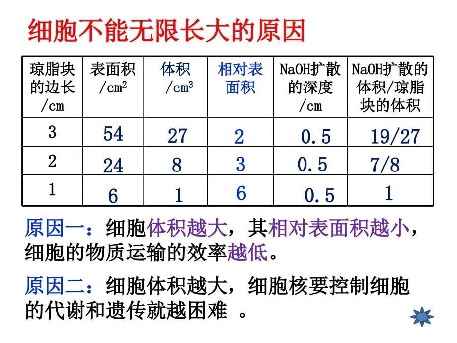 细胞的生命历程_第5页