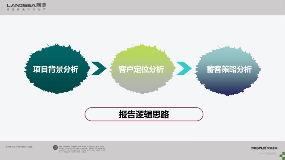 同策13日上海朗诗祝桥项目营销策略汇报_第4页