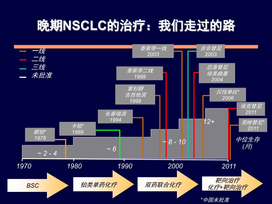 EGFR突变的非小细胞肺癌患者一线治疗.ppt_第2页