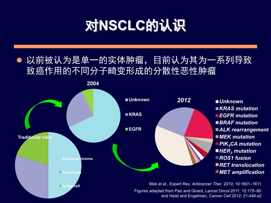 EGFR突变的非小细胞肺癌患者一线治疗.ppt_第3页