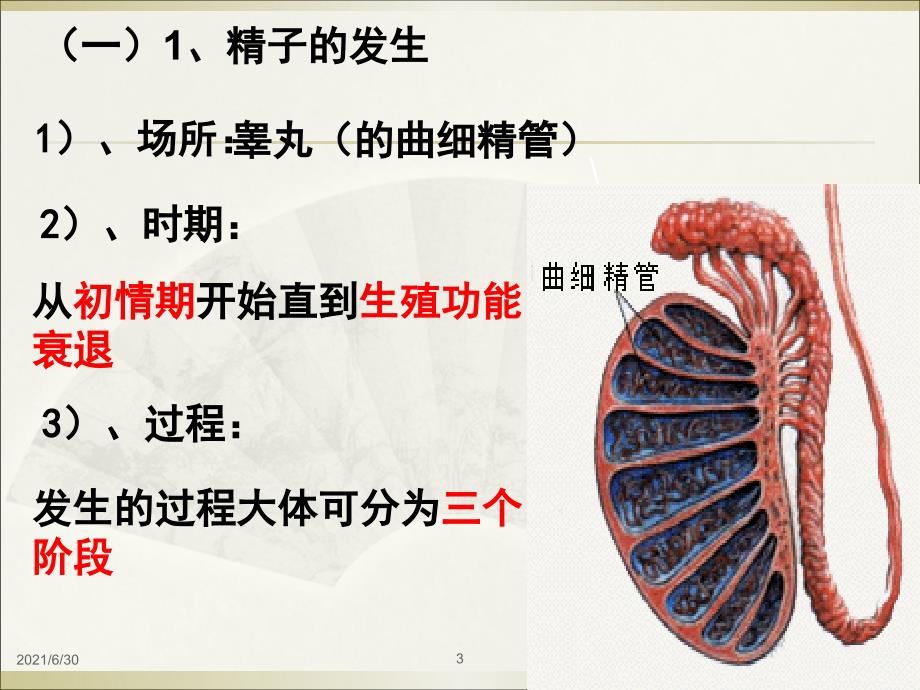 胚胎工程一轮复习课件_第3页