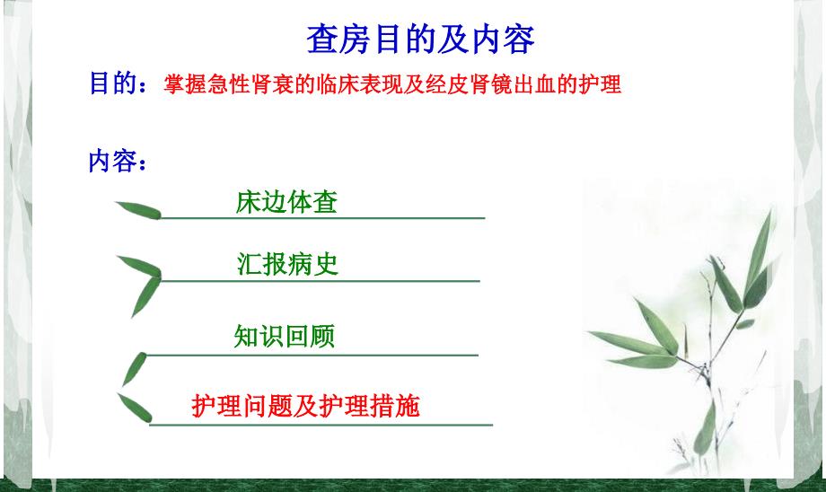 吴健燕------经皮肾镜取石术的护理查房_第2页