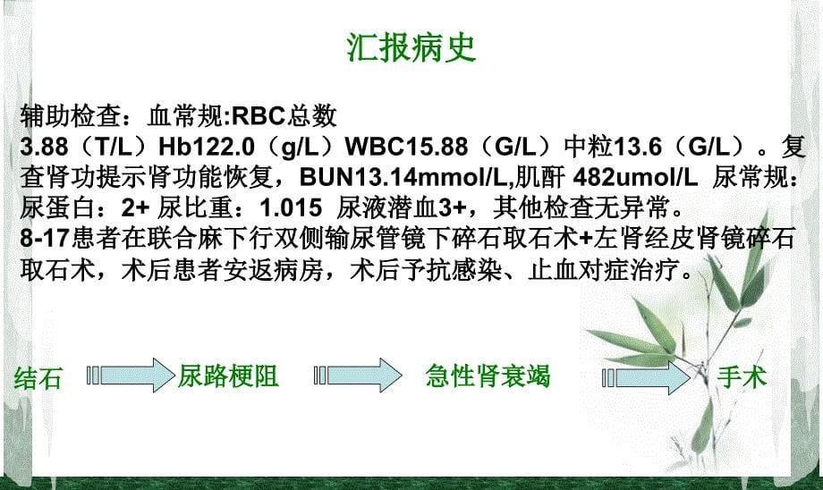 吴健燕------经皮肾镜取石术的护理查房_第5页