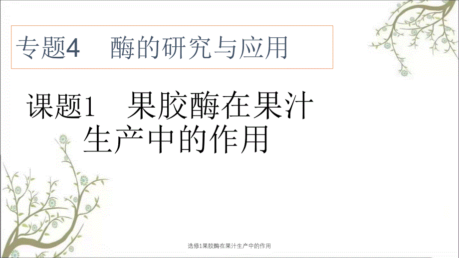 选修1果胶酶在果汁生产中的作用课件_第1页