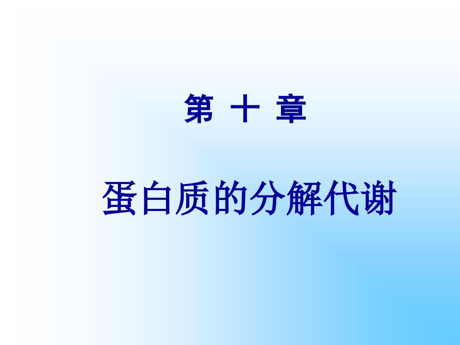 中药chapter10 Metabolism of Amino Acids_第1页