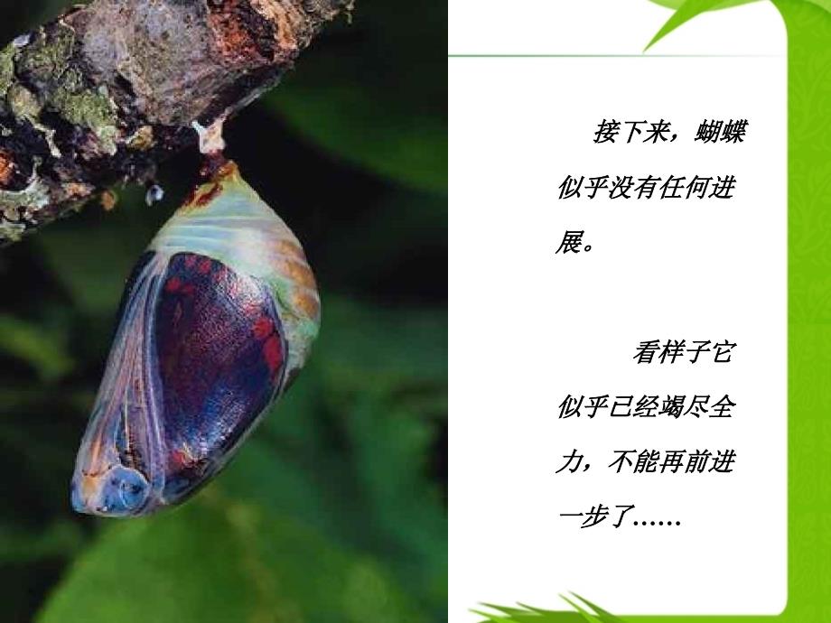 应对挫折提升自我.ppt_第4页