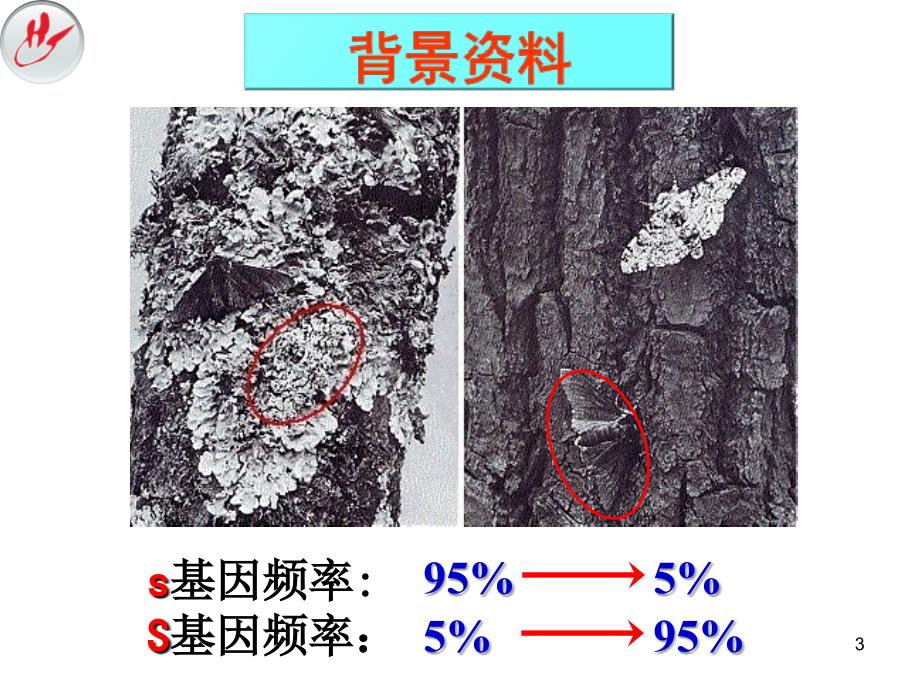 种群基因频率的改变与生物进化第2课时_第3页