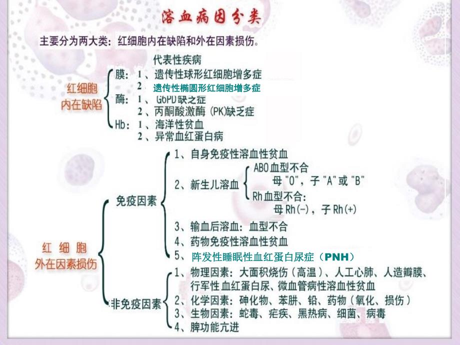 溶血性贫血概述Hemolyticanemia_第4页