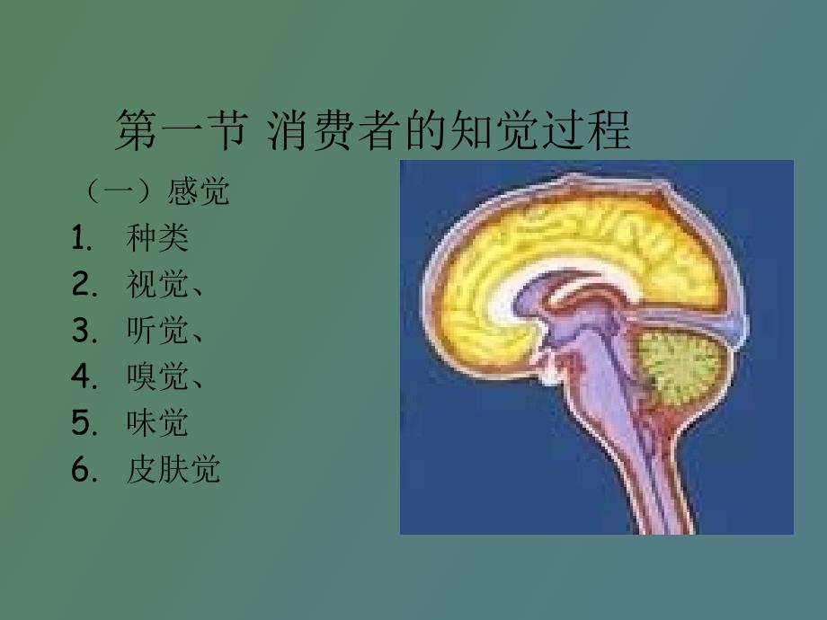 消费者的知觉_第4页