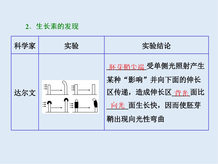 高中生物人教版必修3课件：第3章 第1节 植物生长素的发现_第4页