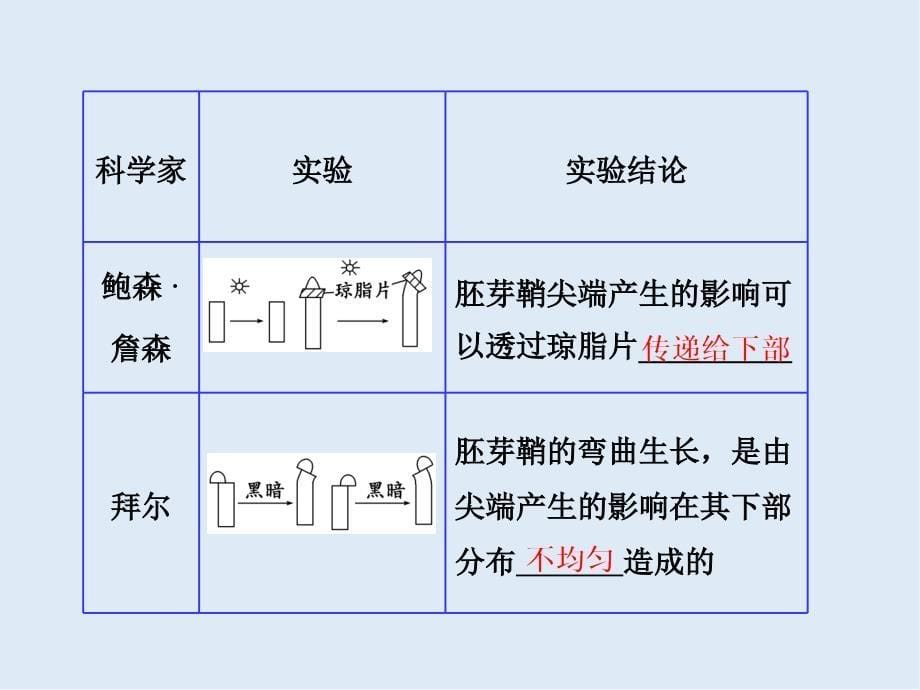 高中生物人教版必修3课件：第3章 第1节 植物生长素的发现_第5页